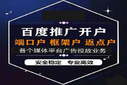 百度竞价SEM深度解析：某行业成功推广经验
